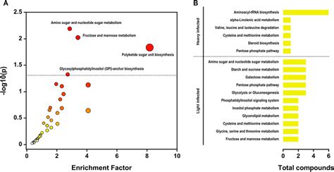 Tag/4 Mummichog - wintechmobiles.com
