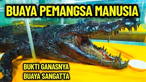 Tag/Alasan Buaya Bisa Selamat - wintechmobiles.com