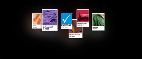 Tag/Pantone Validated - wintechmobiles.com