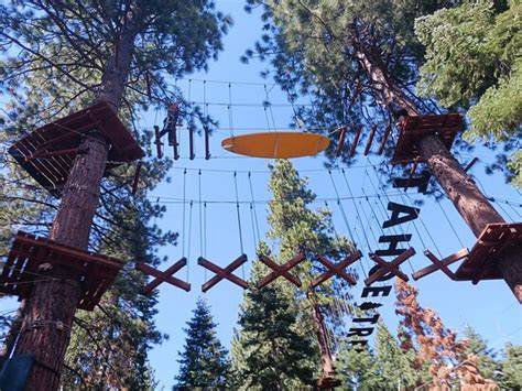 Tahoe Treetop Adventure Parks | Tahoe … - raincitystudios.com