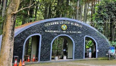 Tahura Djuanda Jadi Alternatif Wisata Lebaran Saat Kebun ... - Ayo Bandung - raincitystudios.com