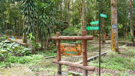 Tahura Kini Engkau Terabaikan - Rudi Hartoyo Travel … - raincitystudios.com