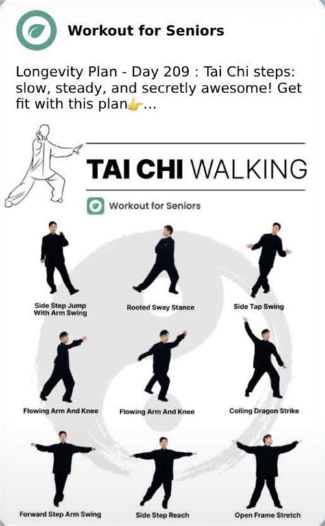 Tai Chi for Beginners Over 60: Your First 30-Day Program - balustradellc