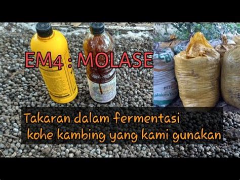 Takaran Em4 Untuk Fermentasi - balustradellc