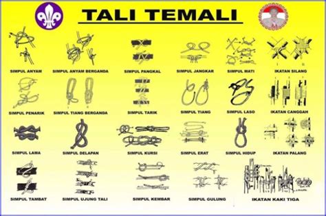Tali Temali dalam Kepramukaan - Pintu Dunia - balustradellc