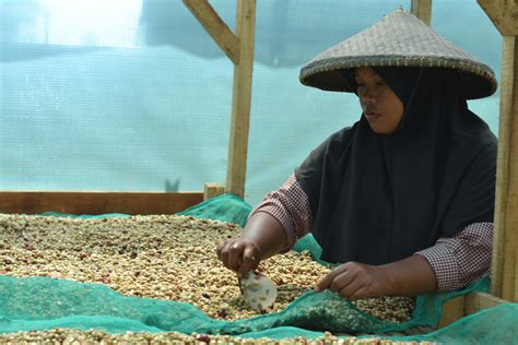 TALKS SUNDA Coffee, Indonesia