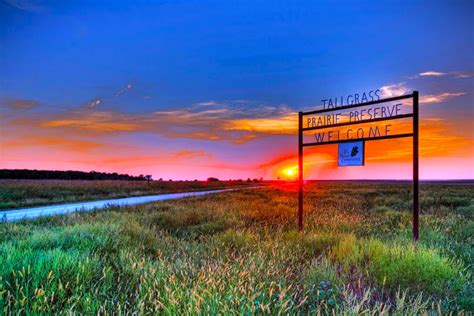 Tallgrass_Prairie_Restoration__643_ - raincitystudios.com