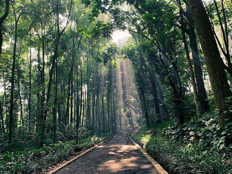 Taman Hutan Raya Ir. H. Djuanda - Wikipedia bahasa Indonesia ... - raincitystudios.com