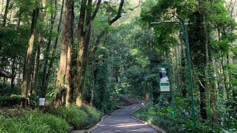 Taman Hutan Raya Ir. H. Juanda - Maribaya - raincitystudios.com