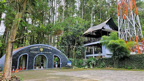 TAMAN HUTAN RAYA NGARGOYOSO - raincitystudios.com