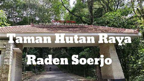 Taman Hutan Raya Raden Soerjo - Wikipedia bahasa Indonesia ... - raincitystudios.com