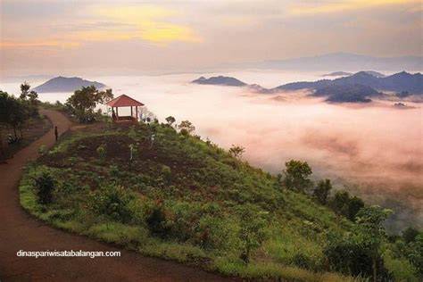 Taman Hutan Raya Sultan Adam - Wikipedia bahasa … - raincitystudios.com
