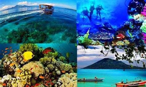 Taman Laut Nasional Bunaken - Tripadvisor - raincitystudios.com