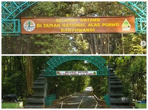 Taman Nasional Alas Purwo - Wikipedia bahasa Indonesia, … - muktibox.com