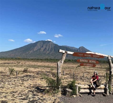 Taman Nasional Baluran Ada Di Provinsi Apa - balustradellc