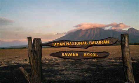 Taman Nasional Baluran - Wikipédia - raincitystudios.com