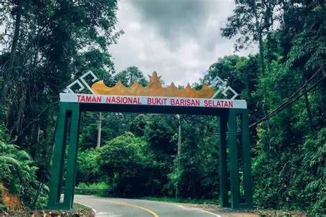 Taman Nasional Bukit Barisan Selatan - Wikiwand - raincitystudios.com