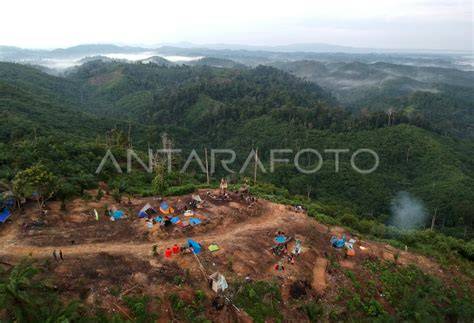Taman Nasional Bukit Tigapuluh - raincitystudios.com