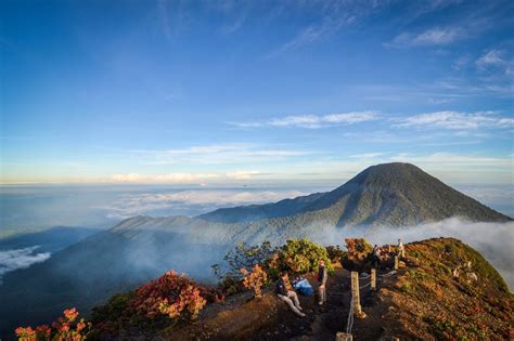 Taman Nasional Gunung Gede Pangrango Lengkap - balustradellc