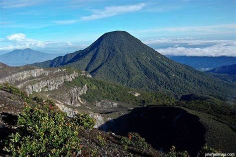 Taman Nasional Gunung Gede Pangrango - raincitystudios.com