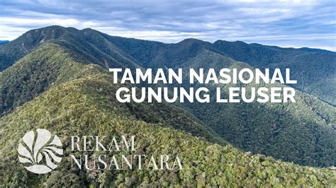 Taman Nasional Gunung Leuser - Wikipedia bahasa Indonesia, … - muktibox.com