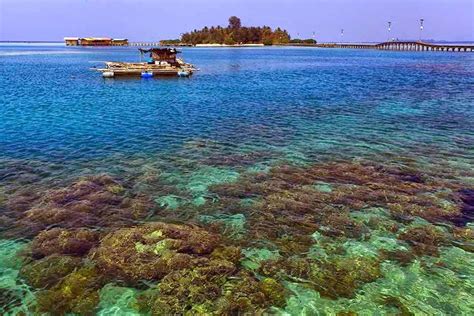 Taman Nasional Kepulauan Seribu - Wikipedia bahasa … - wintechmobiles.com