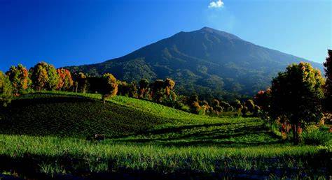 Taman Nasional Kerinci Seblat | S1 | Terakreditasi - STEKOM - raincitystudios.com