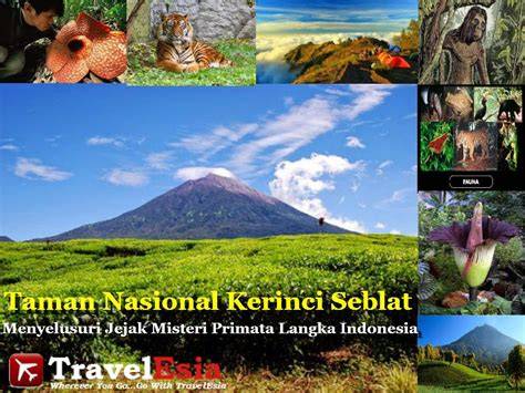 Taman Nasional Kerinci Seblat – conservationist - raincitystudios.com