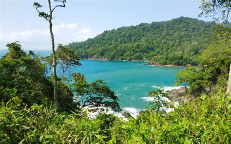 Taman Nasional Meru Betiri - Muhammad Dagri Nizar - raincitystudios.com