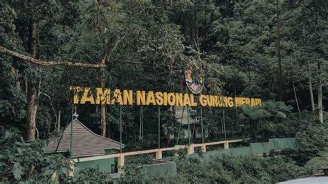 Taman nasional - Wikipedia bahasa Indonesia, … - muktibox.com