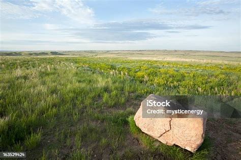 Taman Nasional Padang Rumput - wintechmobiles.com