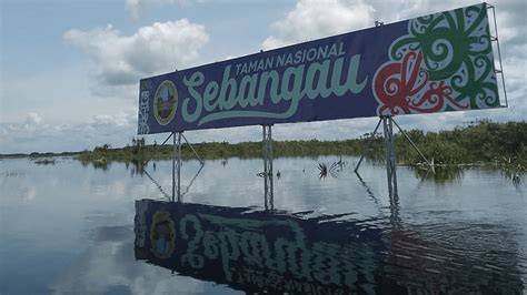 Taman Nasional Sabangau | Visit Palangkaraya - raincitystudios.com