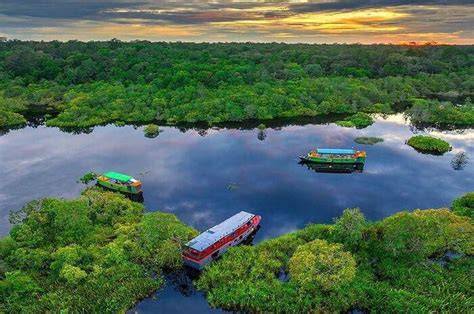 Taman Nasional Tanjung Puting - Wikipedia bahasa Indonesia ... - raincitystudios.com
