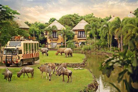 Taman Safari Indonesia: Daya Tarik Wisata | PDF - Scribd - raincitystudios.com