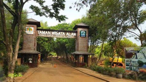Taman Wisata Alam Angke Kapuk - BKSDA DKI - raincitystudios.com
