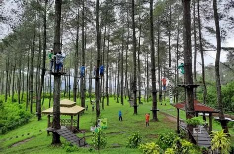 Taman Wisata Alam Gunung Pancar, Petualangan Alam - balustradellc