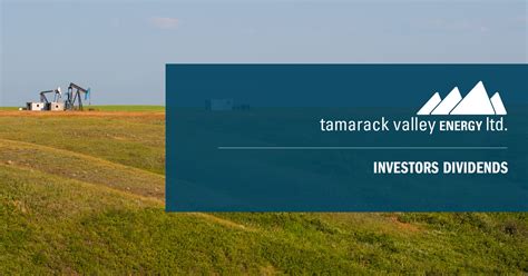 TAMARACK VALLEY ENERGY LTD dividends Digrin