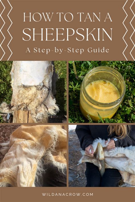 Tan A Hide With Fur: A Step-by-Step Guide - TrailBlissHub - balustradellc