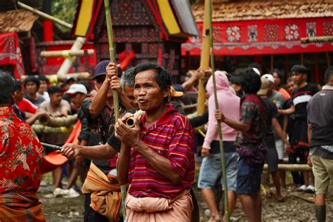tana toraja - tau tau statues - Indonesia Travel - wintechmobiles.com