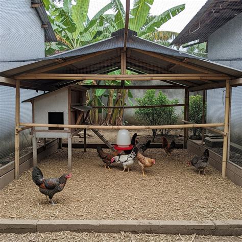Tanah +kandang Ayam - Tanah Dijual di Gudo | OLX Indonesia - coolestguyplanet.net