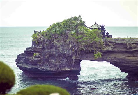 Tanah Bangun Tabanan - Tanah Dijual di Bali | OLX Indonesia - balustradellc