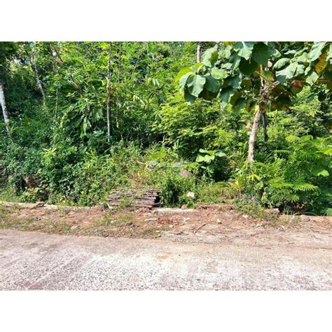 Tanah Murah di Jawa Tengah - Tanah Pegunungan - OLX Indonesia - balustradellc