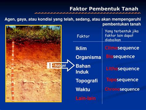 TANAH Pengertian Tanah Pembentukkan Tanah - Web UPI Official