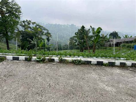 Tanah Tawangmangu Dekat Wisata - Rumah123 - balustradellc