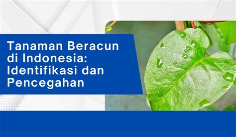 Tanaman Beracun di Indonesia: Identifikasi dan … - balustradellc