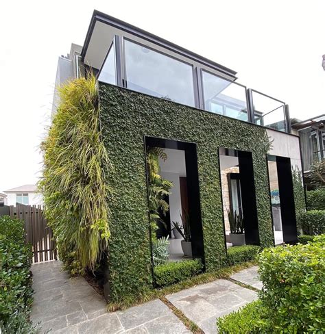 Tanaman Dinding Tembok - balustradellc