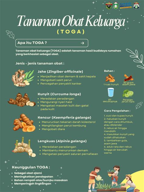 Tanaman obat keluarga - Wikipedia bahasa Indonesia, ensiklopedia … - raincitystudios.com