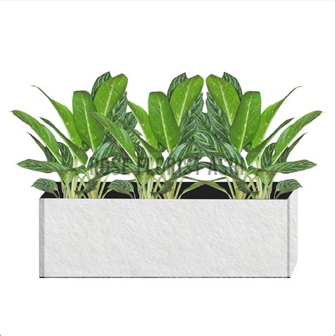 Tanaman Planter Box - balustradellc