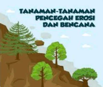 Tanaman-tanaman Pencegah Erosi dan Bencana - raincitystudios.com