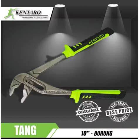 Tang Burung 10" ~ 12" inch / Tang Tukang Air Water … - raincitystudios.com